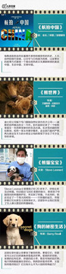 陪孩子一起看这30部纪录片，胜过所有动画片！赶紧收藏！