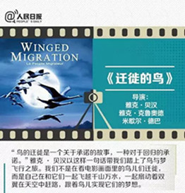 五一陪孩子一起看这30部纪录片，胜过所有动画片！赶紧收藏！