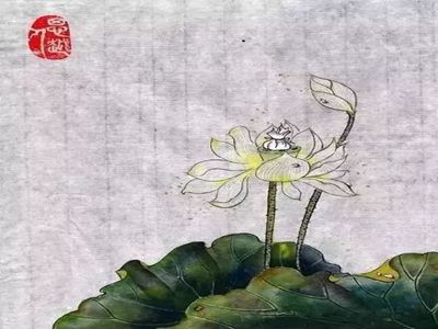人生就是一个慢慢苏醒的过程