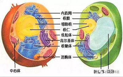 还记得吗？ 当年参加过高考的你也是这么牛！