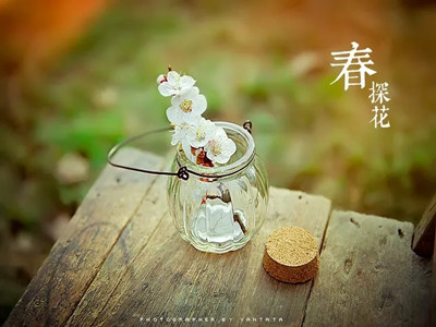 厚道的力量。（深度好文）