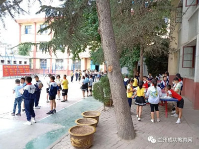 夏日阳光，交给晨读
