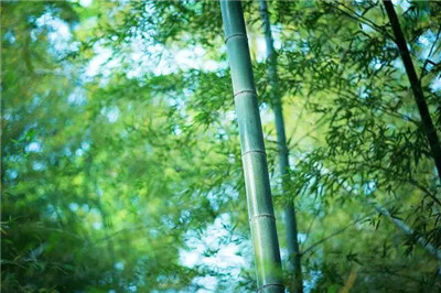 十句话，道出了人生顺逆境（推荐收藏）