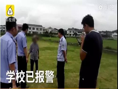 损失上千万！请不要再偷他们的玉米了！