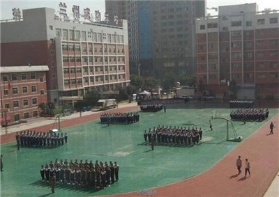  素质拓展训练