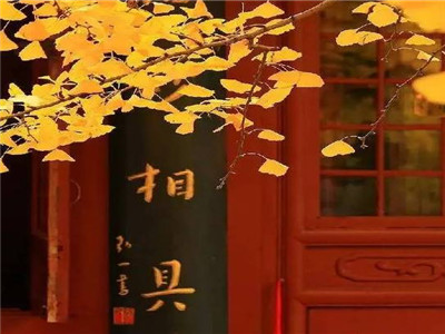 好的人生，需要这三种姿态