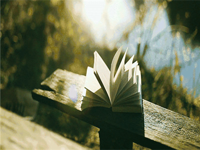 2019年，有一种魅力，叫独自走过