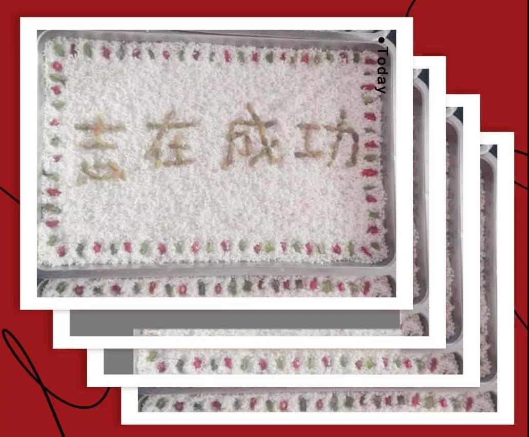 三方面教你如何填报高考志愿！（建议收藏）
