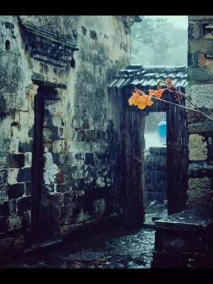 人无所舍，必无所成！（深度好文）