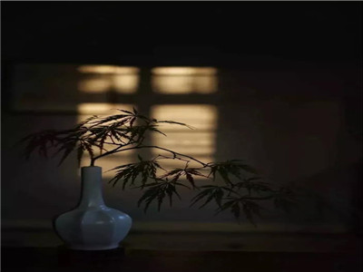 时光越老，人心越淡