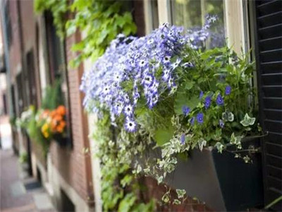 有一种善良，叫不说 !