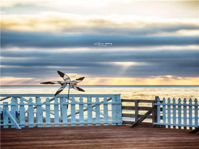 生活已经很累，别让心更累（深度好文）