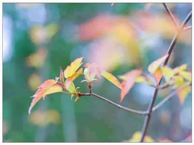 心态，是做人最大的本钱