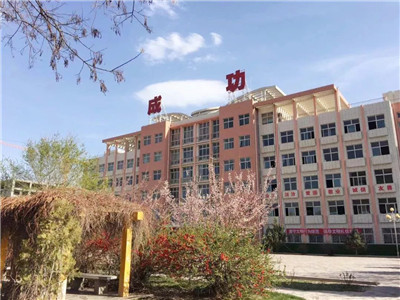 河西成功学校小学部招生计划