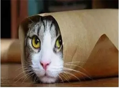 中国家长的一天！简直太形象了～刷爆朋友圈！