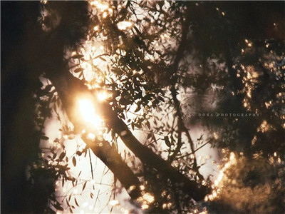 别计较，有些人根本不重要！