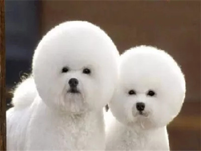 手机被偷，一个短信就让小偷跑步送回！