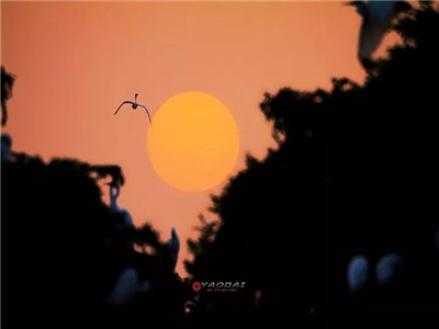 若不是心宽似海，哪来的风平浪静