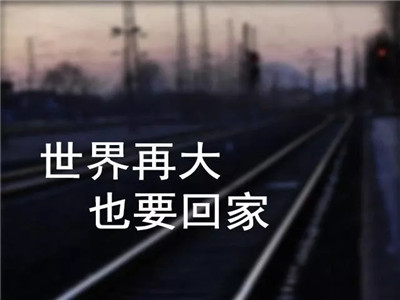 世界再大，也要回家（感动流泪）