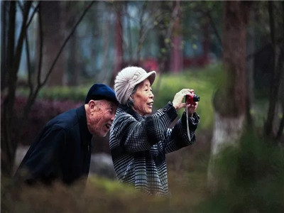 情人是上辈子的夫妻，夫妻是上辈子的…