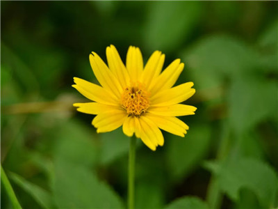 心态平和是最美，天天快乐那才对。