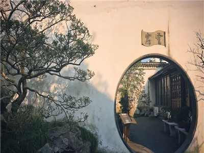 我已五十了 ( 写的真好）