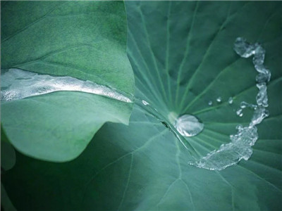 做人，请不要炫耀（经典好文）