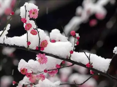 沉得住气，弯得下腰，抬得起头（经典）