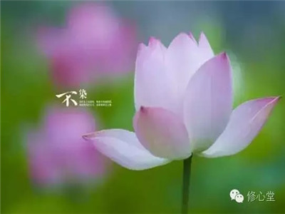 人败皆因懒，事败皆因傲，家败皆因奢